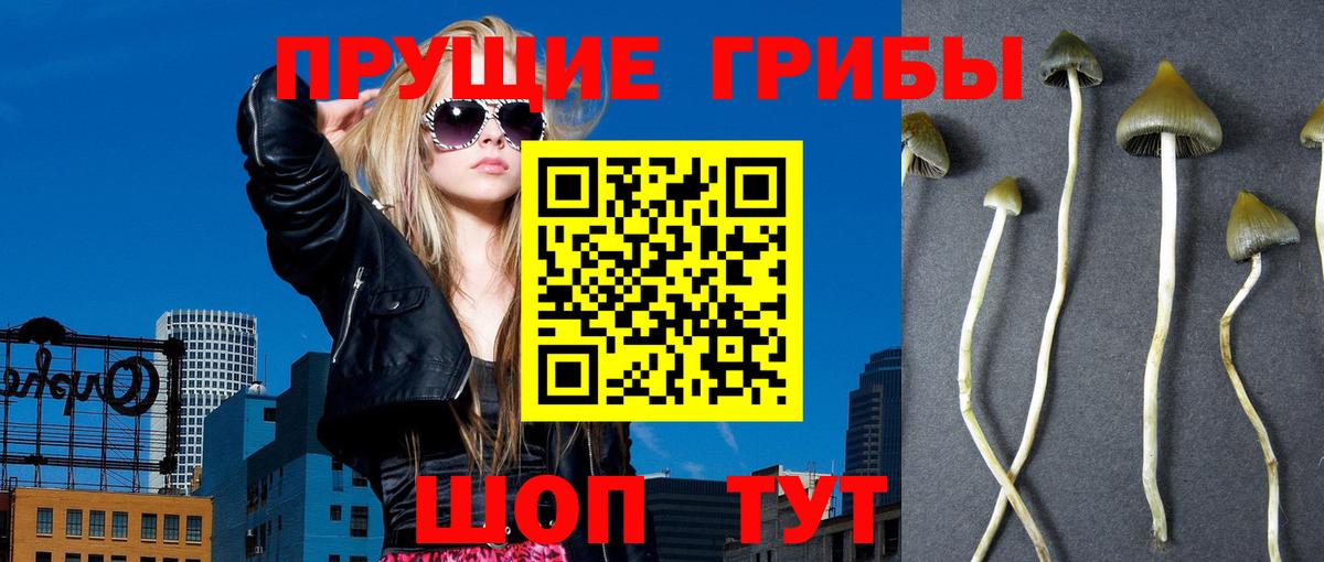 Псилоцибиновые грибы Magic Shrooms  Псилоцибиновые грибы GOLDEN TEACHER  Вход с VPN  Ипатово 
